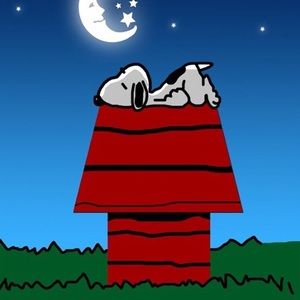 Meet your Posher, Jack